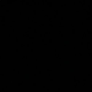 Meet your Posher, Jake